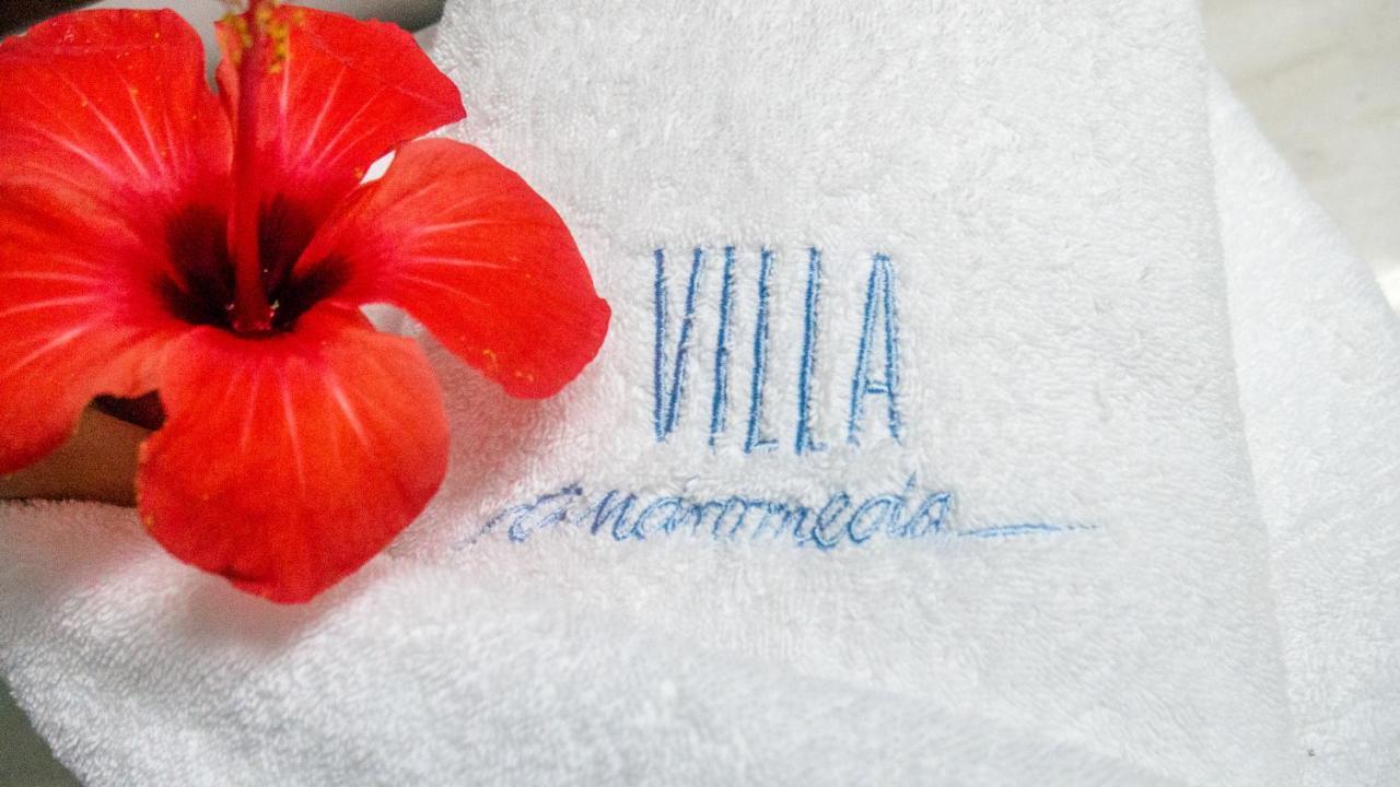 Villa Andromeda خانيا المظهر الخارجي الصورة